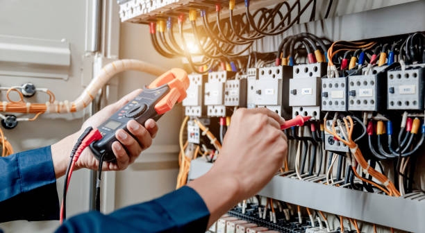 Best Electric Panel Repair  in Farmer City, IL