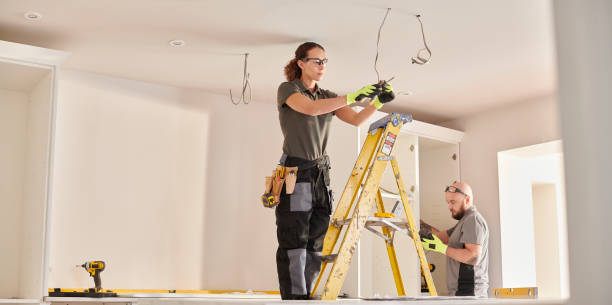 Best Local Electrician Companies  in Farmer City, IL