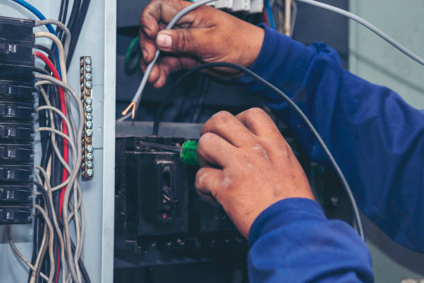 Best Electrical System Inspection  in Farmer City, IL